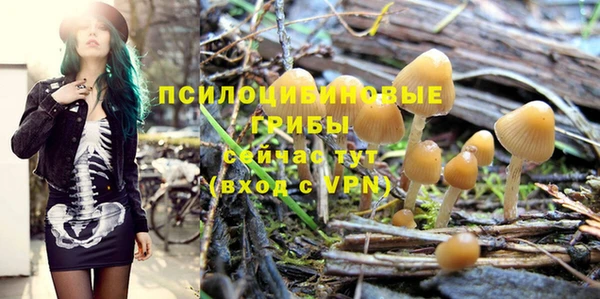 гидропоника Вяземский
