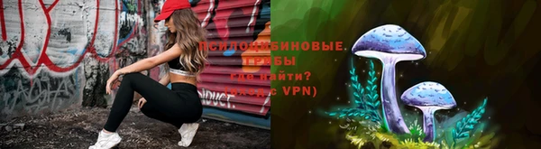 apvp Вязьма